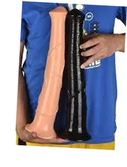 horse dildos